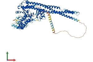 AlphaFold protein structure predicition of Human Recombinant IKBKB Protein, UniprotID O14920