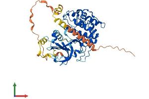 Protein Structure (PS) image for serum/glucocorticoid Regulated Kinase 1 (SGK1) (AA 1-431) protein (His tag) (ABIN7565238)