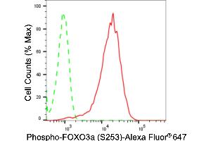 Flow cytometric analysis of phospho-FOXO3a (S253) expression in HepG2 cells using phospho-FOXO3a (S253) antibody (ABIN7798647), 1:2,000).