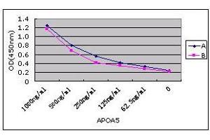 Sandwich ELISA using antibody pair to detect APOA5 protein. (APOA5 抗体)