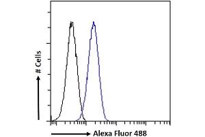 Flow Cytometry (FACS) image for anti-Myosin Phosphatase, Target Subunit 1 (PPP1R12A) (C-Term) antibody (ABIN6391349)