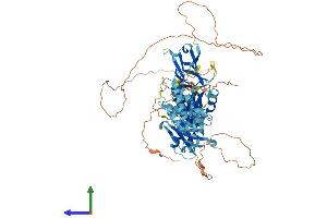 AlphaFold protein structure predicition of Human Recombinant DTHD1 Protein, UniprotID Q6ZMT9