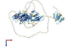 AlphaFold protein structure predicition of Human Recombinant DTHD1 Protein, UniprotID Q6ZMT9