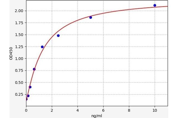 NFIL3 ELISA 试剂盒