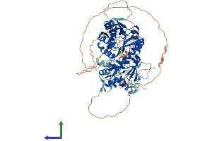 Protein Structure (PS) image for TRM1 tRNA Methyltransferase 1-Like (TRMT1L) (AA 1-728) protein (His tag) (ABIN7561979)