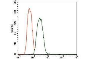 Flow cytometric analysis of A549 cells using PDE1B mouse mAb (green) and negative control (red). (PDE1B 抗体  (AA 370-536))
