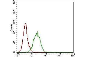 Flow Cytometry (FACS) image for anti-5'-Nucleotidase, Ecto (CD73) (NT5E) (AA 30-250) antibody (ABIN2683003)