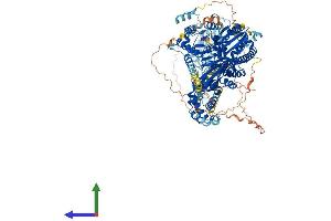 Protein Structure (PS) image for IQ Motif Containing H (IQCH) (AA 1-1071) protein (His tag) (ABIN7564975)