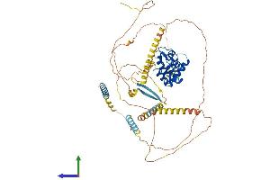 Protein Structure (PS) image for AT Rich Interactive Domain 3A (BRIGHT-Like) (ARID3A) (AA 1-601) protein (His tag) (ABIN7563968)