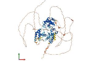 AlphaFold protein structure predicition of Mouse Recombinant Ttf1 Protein, UniprotID Q62187