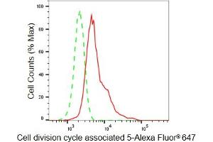 Flow cytometric analysis of Cell division cycle associated 5 expression in HeLa cells using Cell division cycle associated 5 antibody (ABIN7798019), 1:2,000). (Recombinant CDCA5 抗体)
