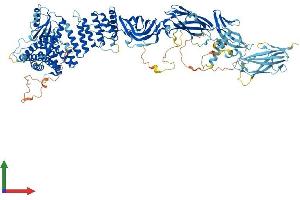 Protein Structure (PS) image for Trafficking Protein Particle Complex 9 (TRAPPC9) (AA 1-1148) protein (His tag) (ABIN7555804)