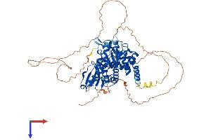 Protein Structure (PS) image for CDC14 Cell Division Cycle 14 Homolog A (CDC14A) (AA 1-603) protein (His tag) (ABIN7557915)