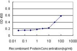 Detection limit for recombinant GST tagged KRAS is approximately 1ng/ml as a capture antibody. (K-RAS 抗体  (AA 1-188))