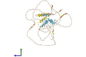 AlphaFold protein structure predicition of Human Recombinant KLF11 Protein, UniprotID O14901 (KLF11 Protein (AA 1-512) (His tag))