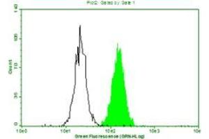 Above is the histogram of Hela cells stained with 10mg/mL anti-Human CRP mAb S5G1 and fluorescence labelled secondary antibody. (CRP 抗体)