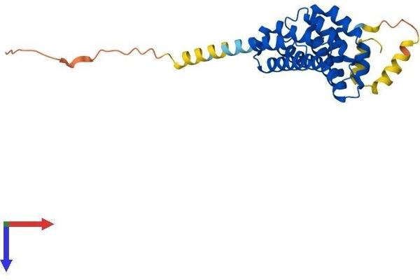 MRO Protein (AA 1-248) (His tag)
