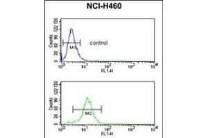Flow Cytometry (FACS) image for anti-Phosphatidic Acid Phosphatase Type 2C (PPAP2C) (AA 227-254), (C-Term) antibody (ABIN389300)