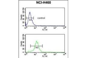 C Antibody (C-term) 799b flow cytometric analysis of NCI- cells (bottom histogram) compared to a negative control cell (top histogram). (PPAP2C 抗体  (C-Term))