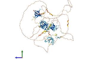 AlphaFold protein structure predicition of Mouse Recombinant Sh3d19 Protein, UniprotID Q91X43