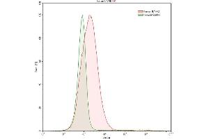 Detection of IL17RD in K562 human chronic myelogenous leukemia cell line using Anti-Interleukin 17 Receptor D (IL17RD) Polyclonal Antibody (IL17RD 抗体  (AA 157-299))