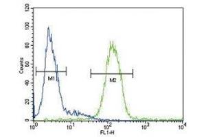 CP antibody flow cytometric analysis of HepG2 cells (green) compared to a negative control (blue). (Ceruloplasmin 抗体  (AA 547-577))