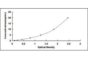 Typical standard curve (F2RL3 ELISA 试剂盒)