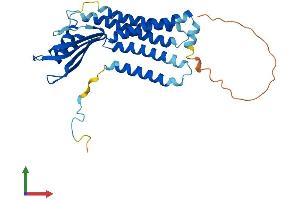 Protein Structure (PS) image for Dual Oxidase Maturation Factor 2 (DUOXA2) (AA 1-320) protein (His tag) (ABIN7547228)