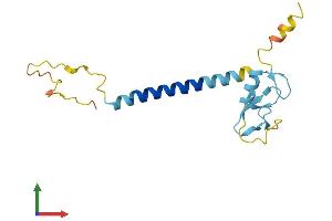 Protein Structure (PS) image for Ring Finger Protein 122 (RNF122) (AA 1-155) protein (His tag) (ABIN7551516)