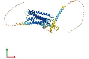 Protein Structure (PS) image for Somatostatin Receptor 3 (SSTR3) (AA 1-428) protein (His tag) (ABIN7563099)