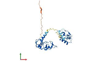 Protein Structure (PS) image for Ring Finger Protein 114 (RNF114) (AA 1-229) protein (His tag) (ABIN7561489)
