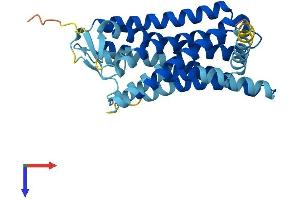 Olfactory Receptor, Family 2, Subfamily A, Member 2 (OR2A2) (AA 1-318) protein (His tag)