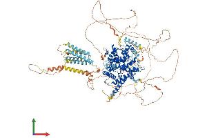 Protein Structure (PS) image for phosphodiesterase 3A, cGMP-Inhibited (PDE3A) (AA 1-1141) protein (His tag) (ABIN7565262)
