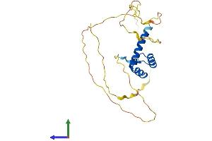 Protein Structure (PS) image for Distal-Less Homeobox 4 (DLX4) (AA 1-240) protein (His tag) (ABIN7547104)