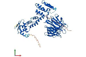 AlphaFold protein structure predicition of Human Recombinant KLHL10 Protein, UniprotID Q6JEL2 (KLHL10 Protein (AA 1-608) (His tag))