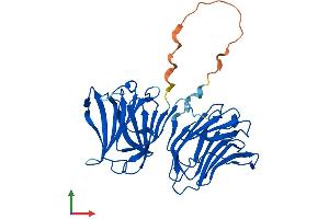 Protein Structure (PS) image for Galectin 4 (LGALS4) (AA 1-326) protein (His tag) (ABIN7559560)