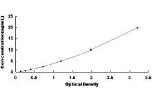 Typical standard curve (CACNA1S ELISA 试剂盒)