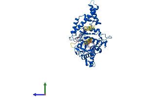 AlphaFold protein structure predicition of Human Recombinant HYAL4 Protein, UniprotID Q2M3T9