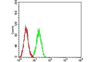 Flow cytometric analysis of SK-OV-3 cells using CDX2 mouse mAb (green) and negative control (red). (CDX2 抗体  (AA 1-180))