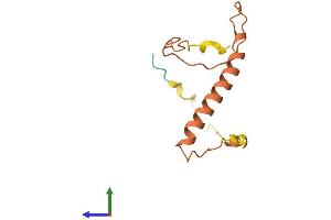 AlphaFold protein structure predicition of Human Recombinant MYCNOS Protein, UniprotID P40205