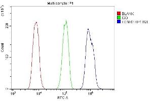 Flow Cytometry analysis of A431 cells using anti-CCNB2 antibody (ABIN7600750).