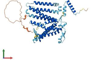 Protein Structure (PS) image for CDP-Diacylglycerol Synthase (Phosphatidate Cytidylyltransferase) 2 (CDS2) (AA 1-444) protein (His tag) (ABIN7560351)