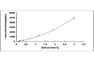 Typical standard curve (Keratin 33A ELISA 试剂盒)