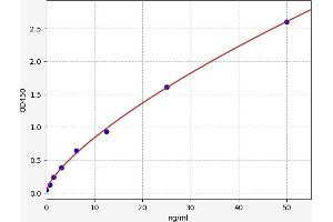 Arginase (ARG) ELISA Kit
