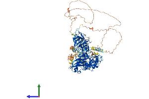 AlphaFold protein structure predicition of Mouse Recombinant B4galnt3 Protein, UniprotID Q6L8S8