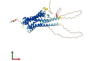 Protein Structure (PS) image for Muscarinic Acetylcholine Receptor M1 (CHRM1) (AA 1-460) protein (His tag) (ABIN7551943)