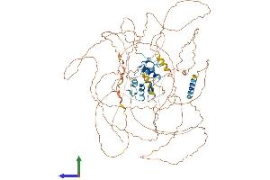 Protein Structure (PS) image for Zinc Finger Protein 281 (ZNF281) (AA 1-895) protein (His tag) (ABIN7556098)