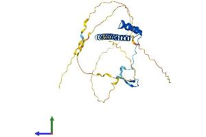 Protein Structure (PS) image for Ventral Anterior Homeobox 2 (VAX2) (AA 1-290) protein (His tag) (ABIN7545026)