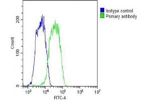 Flow Cytometry (FACS) image for anti-Solute Carrier Family 29 (Nucleoside Transporters), Member 2 (SLC29A2) (AA 1-31) antibody (ABIN6243301)