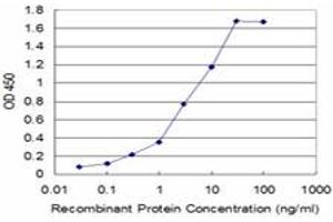 Detection limit for recombinant GST tagged USP9X is approximately 0. (USP9X 抗体  (AA 1-90))